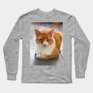 reverent young red-haired cat Long Sleeve T-Shirt